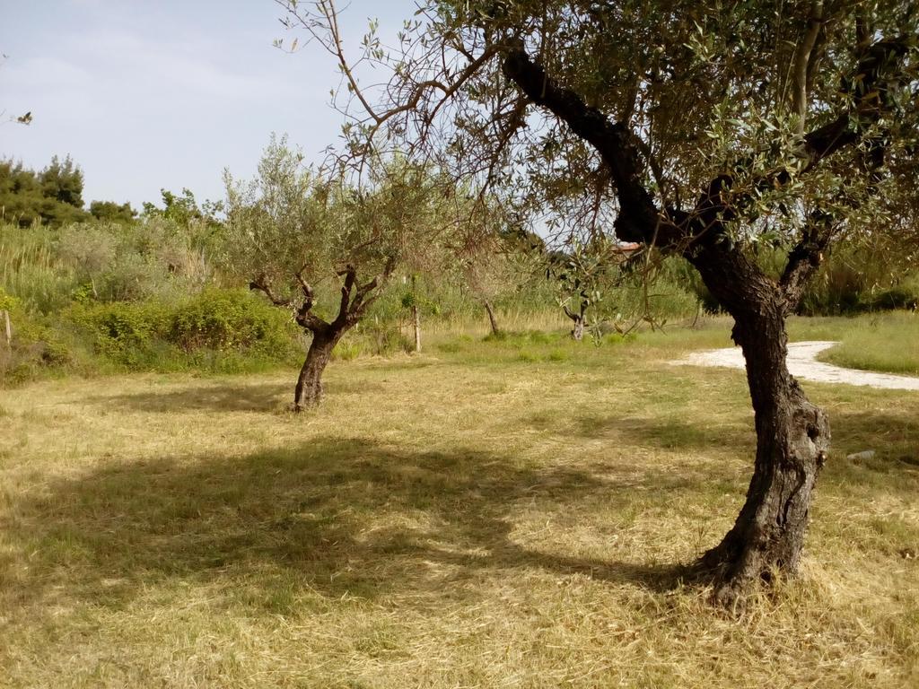 Pappou's Apartamento Ormos Panagias